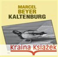 Kaltenburg Marcel Beyer 9788087341421 Havran - książka
