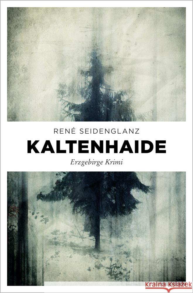 Kaltenhaide Seidenglanz, René 9783740813376 Emons Verlag - książka
