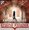 Kamienne tablice audiobook Żukrowski Wojciech 9788376990590 MTJ