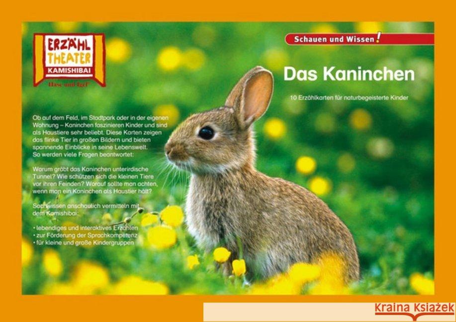 Kamishibai: Das Kaninchen : 10 Fotobildkarten für das Erzähltheater  4260505830724 Hase und Igel - książka