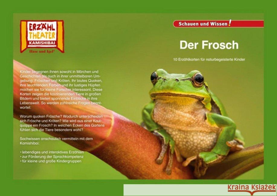 Kamishibai: Der Frosch : 10 Fotobildkarten für das Erzähltheater  4260505830717 Hase und Igel - książka