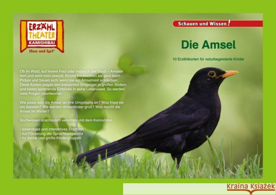 Kamishibai: Die Amsel : 10 Fotobildkarten für das Erzähltheater  4260505830731 Hase und Igel - książka