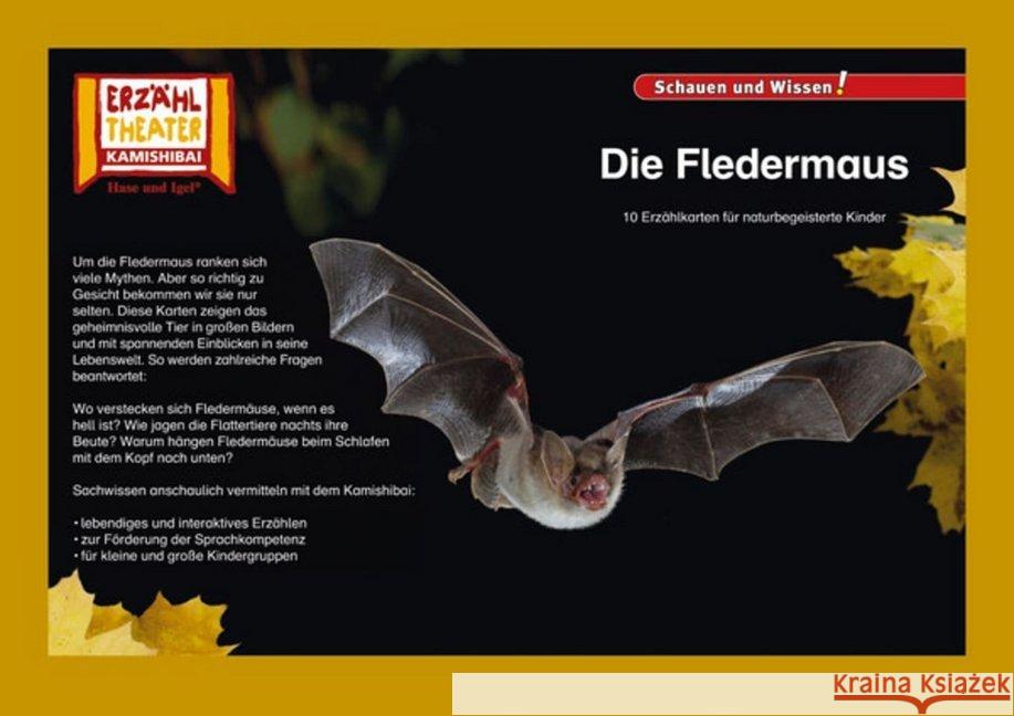 Kamishibai: Die Fledermaus : 10 Fotobildkarten für das Erzähltheater  4260505830762 Hase und Igel - książka