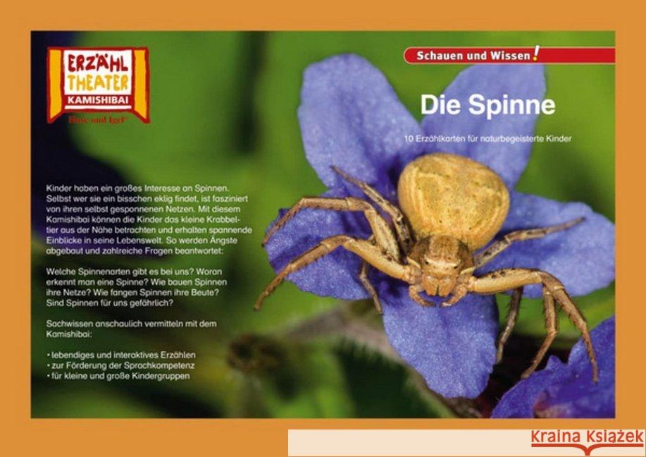 Kamishibai: Die Spinne : 10 Fotobildkarten für das Erzähltheater  4260505830526 Hase und Igel - książka