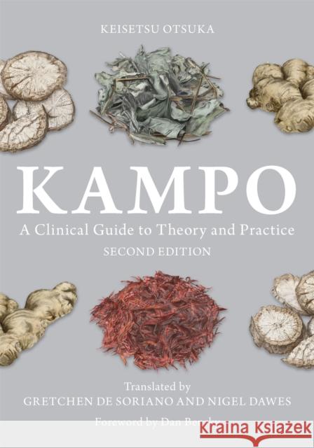 Kampo: A Clinical Guide to Theory and Practice Keisetsu Aotsuka Keisetsu Otsuka Gretchen D 9781848193291 Singing Dragon - książka