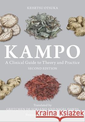 Kampo: A Clinical Guide to Theory and Practice, Second Edition de Soriano, Gretchen de 9781839977589 Jessica Kingsley Publishers - książka