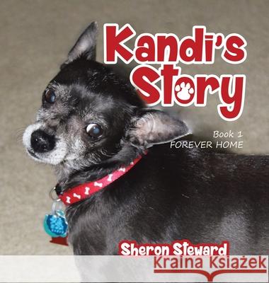 Kandi's Story: Forever Home (New Edition) Sheron Steward 9781637900284 Matchstick Literary - książka