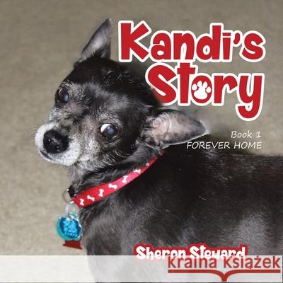 Kandi's Story: Forever Home (New Edition) Steward, Sheron 9781648586026 Matchstick Literary - książka