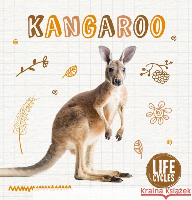 Kangaroo Shalini Vallepur   9781786377326 BookLife Publishing - książka