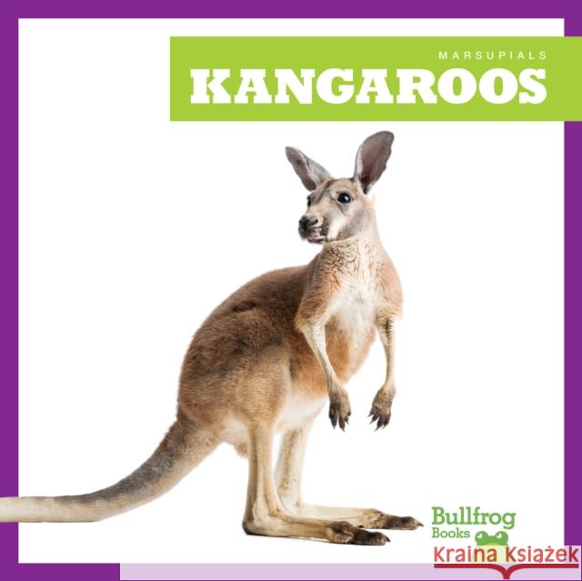 Kangaroos Natalie Deniston 9798892135160 Jump - książka