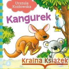 Kangurek Urszula Kozłowska 9788382072549 Skrzat - książka