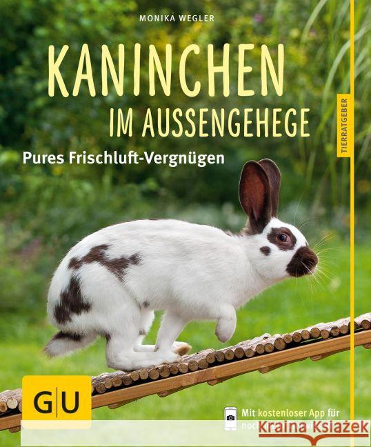 Kaninchen im Außengehege : Pures Frischluft-Vergnügen Wegler, Monika 9783833836404 Gräfe & Unzer - książka