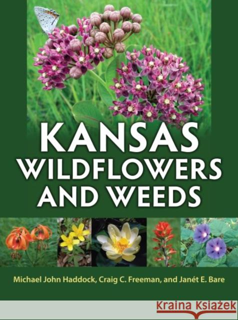 Kansas Wildflowers and Weeds Haddock, Michael John 9780700620814 University Press of Kansas - książka