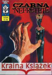 Kapitan Żbik T.16 Czarna Nefretete Anna Kłodzińska, Jan Tomaszewski, Grzegorz Rosińs 9788365803733 Ongrys - książka