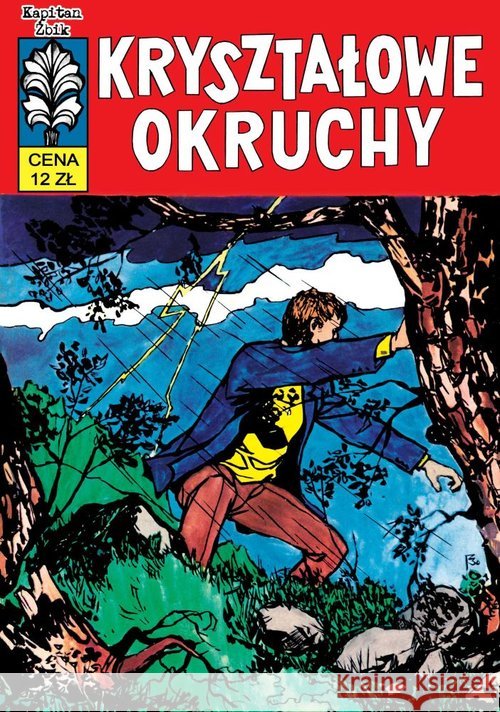 Kapitan Żbik T.9  Kryształowe Okruchy Sobala Zbigniew 9788361596691 Alfa-Zet - książka