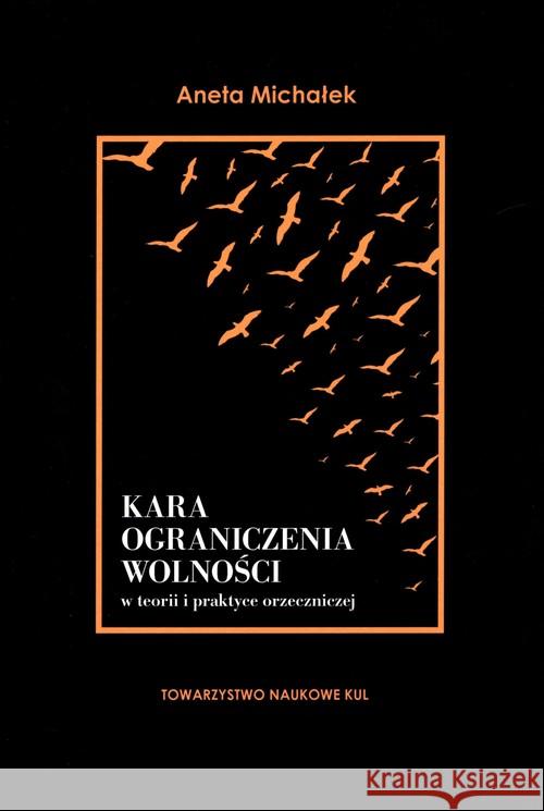 Kara ograniczenia wolności w teorii i praktyce orzeczniczej Michałek Aneta 9788373068124 Towarzystwo Naukowe KUL - książka