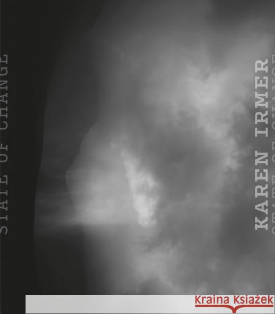 Karen Irmer Wolfgang Ullrich 9783735609977 Kerber Verlag - książka