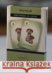 Karty Piotruś - Przyroda w lesie  5904673762706 Mama Maluje - książka