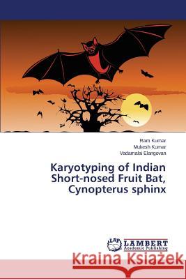 Karyotyping of Indian Short-nosed Fruit Bat, Cynopterus sphinx Kumar Ram                                Kumar Mukesh                             Elangovan Vadamalai 9783659495946 LAP Lambert Academic Publishing - książka