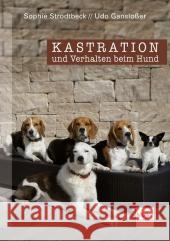 Kastration und Verhalten beim Hund Gansloßer, Udo; Strodtbeck, Sophie 9783275018208 Müller Rüschlikon - książka