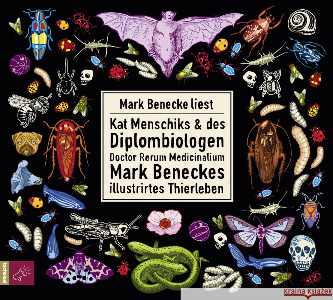 Kat Menschiks und des Diplom-Biologen Doctor Rerum Medicinalium Mark Beneckes Illustrirtes Thierleben, 1 Audio-CD, MP3 Benecke, Mark, Menschik, Kat 9783864846953 tacheles!/ROOF Music - książka