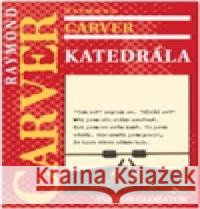 Katedrála Jiří Hrubý 9788072078677 Volvox Globator - książka