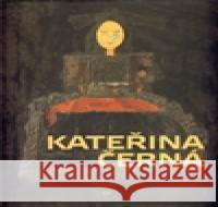 Kateřina Černá Naďa Řeháková 9788087164556 Gallery - książka