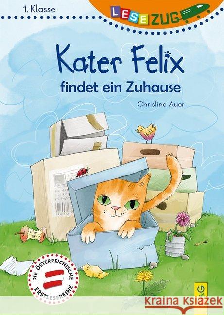 Kater Felix findet ein Zuhause Auer, Christine 9783707422399 G & G Verlagsgesellschaft - książka