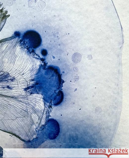 Kathrin Linkerdorff Works Linkersdorff, Kathrin 9783960701071 Hartmann Books - książka