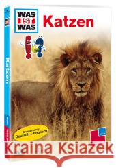 Katzen, 1 DVD : Raubkatzen und Stubentiger. Zweisprachig: Deutsch und Englisch  9783788642440 Tessloff - książka
