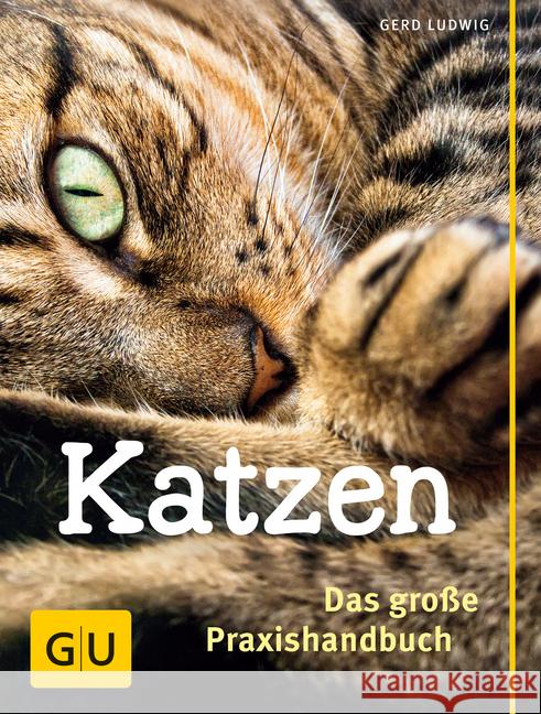 Katzen - Das große Praxishandbuch Ludwig, Gerd 9783833828751 Gräfe & Unzer - książka