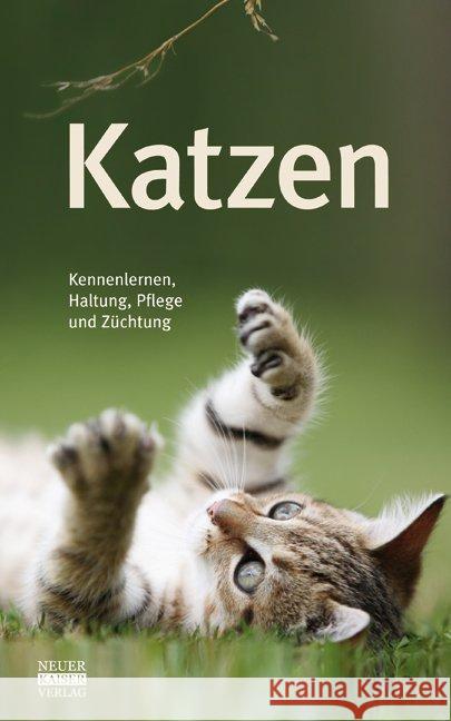 Katzen : Kennenlernen, Haltung, Pflege und Züchtung  9783846800034 Neuer Kaiser Verlag, Fränkisch-Crumbach - książka