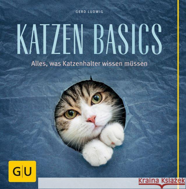 Katzen-Basics : Alles, was Katzenhalter wissen müssen Ludwig, Gerd 9783833844225 Gräfe & Unzer - książka