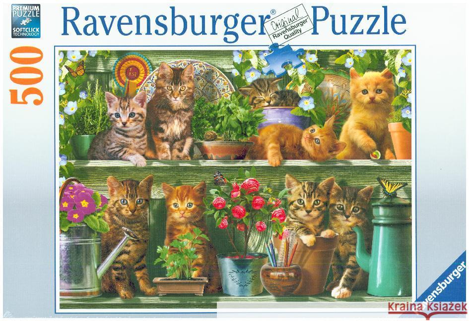 Katzen im Regal (Puzzle)  4005556148240 Ravensburger Verlag - książka