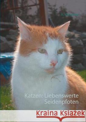 Katzen: Liebenswerte Seidenpfoten A. Ketschau 9783752839920 Books on Demand - książka