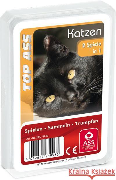 Katzen, Quartett (Kartenspiel)  4042677719935 ASS Spielkartenfabrik - książka