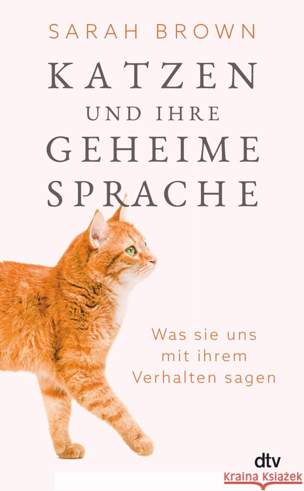 Katzen und ihre geheime Sprache Brown, Sarah 9783423284066 DTV - książka