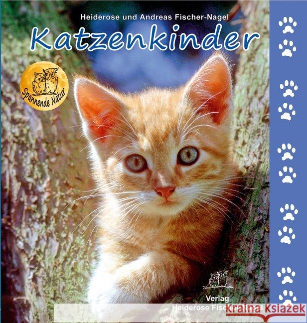 Katzenkinder Fischer-Nagel, Heiderose; Fischer-Nagel, Andreas 9783930038312 Fischer-Nagel - książka