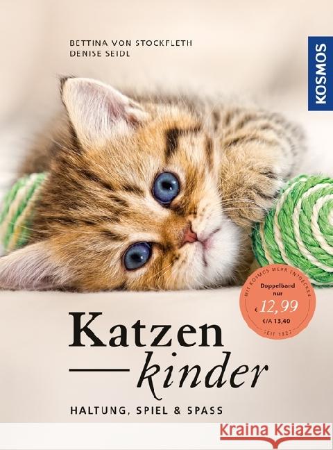 Katzenkinder : Haltung, Spiel & Spaß Stockfleth, Bettina von; Seidl, Denise 9783440153888 Kosmos (Franckh-Kosmos) - książka