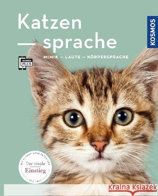 Katzensprache : Mimik, Laute, Körpersprache. Mit KOSMOS-PLUS-App Rauth-Widmann, Brigitte 9783440157534 Kosmos (Franckh-Kosmos) - książka