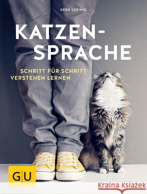 Katzensprache : Schritt für Schritt verstehen lernen Ludwig, Gerd 9783833852213 Gräfe & Unzer - książka