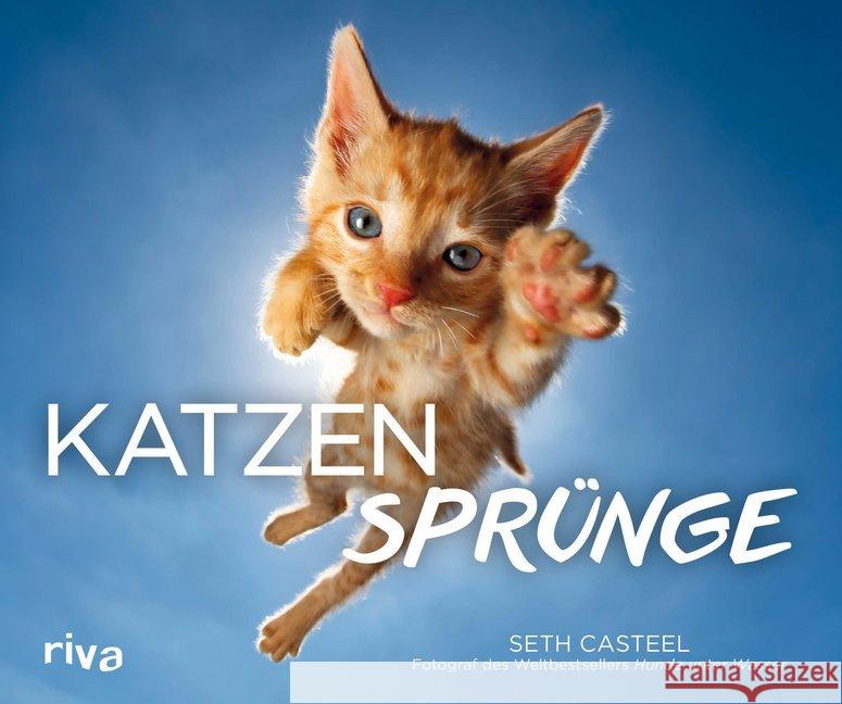 Katzensprünge Casteel, Seth 9783742311719 riva Verlag - książka