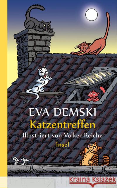 Katzentreffen Demski, Eva 9783458361114 Insel Verlag - książka