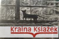 Káva se Suzanne Bohuslav Reynek 8593085030304  - książka