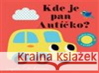 Kde je pan Autíčko? Plstěná okénka a zrcátko! Ingela P. Arrhenius 9788025629338 Svojtka & Co. - książka