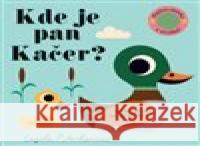 Kde je pan Kačer? Plstěná okénka a zrcátko! Ingela P. Arrhenius 9788025629321 Svojtka & Co. - książka