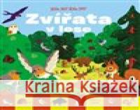 Kde jsi? Kdo jsi? Zvířata v lese Thierry Laval 9788025632901 Svojtka & Co. - książka