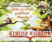 Kde si Píťa zchladí tlapky? Stefanie Reich 9788088316992 Nakladatelství Kazda - książka