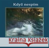 Když nespím Irena TopinkovÃ¡ 9788090496835  - książka