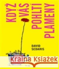 Když vás pohltí plameny David Sedaris 9788025710623 Argo - książka